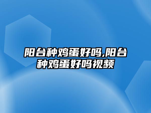 陽臺種雞蛋好嗎,陽臺種雞蛋好嗎視頻